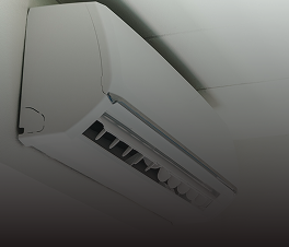 Fasilitas AC 24 Jam Penitipan Kucing Jakarta